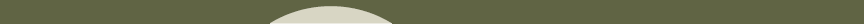 header divider