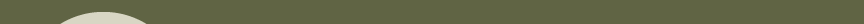 header divider